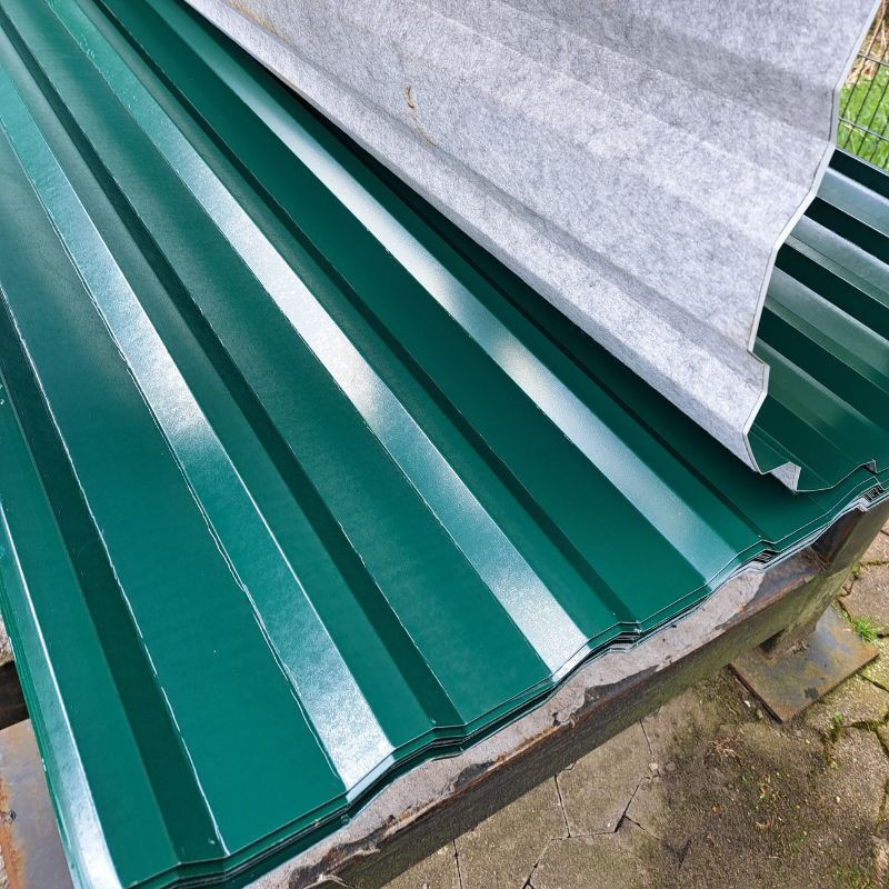Trapezblech Dach Friedrich von Lien AG Moosgrün RAL 6005 B/H: 138 x 2,50 m - Bild 1