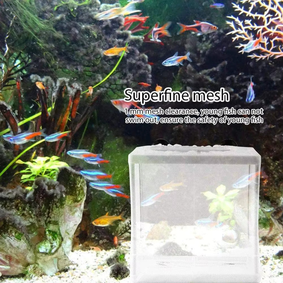 KITPIPI Fischzucht-Inkubator-Netz zur Isolation von Fischen in Weiß - Bild 2