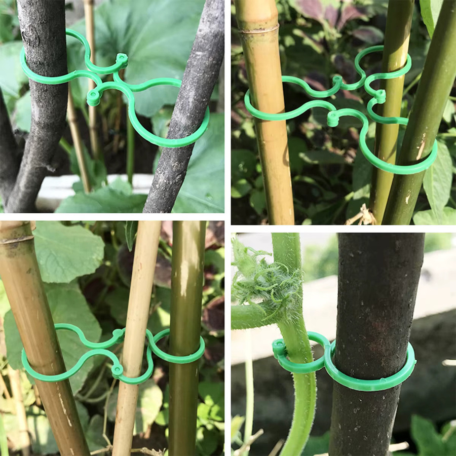 100 Stück Pflanzenbefestigungs-Clips aus Kunststoff in Grün für Garten und Outdoor - Bild 5