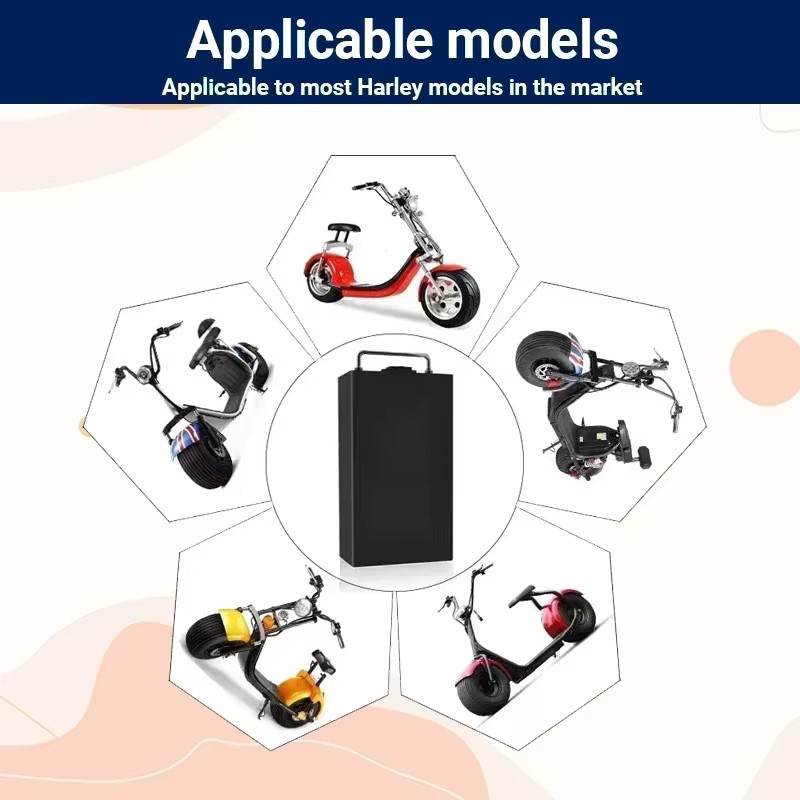 KEPAH Lithium-Ionen-Batterie 60V für Harley Citycoco Roller und E-Bikes, Farbe: Schwarz - Bild 2