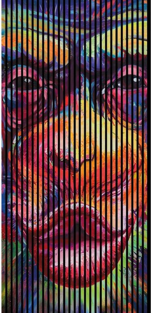 FN Acustico Akustikplatte Monkey 1 in Bunt, foliert mit PET und MDF, H x B x T: 2.400 x 1.133 x 19 mm - Bild 1