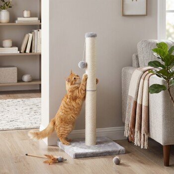 Feandrea Kratzbaum für Katzen aus natürlichem Sisal mit integriertem Spielzeug, Hellgrau, B/T/H: 40 x 40 x 84 cm - Bild 1