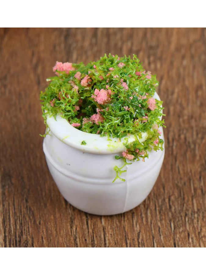 eelhoe Puppenhausmöbel Zubehör, Mini-Grünpflanzen-Bonsai-Blumentöpfe, 2-teiliges Set - Bild 4
