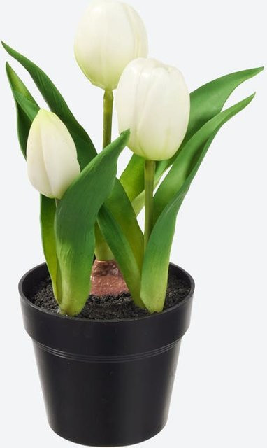 NKD Kunstblume Tulpe im Topf in Schwarz und Weiß, Durchmesser: 9 cm, Höhe: 23 cm - Bild 1