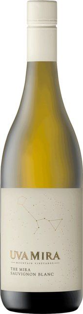 Uva Mira Sauvignon Blanc Weißwein, 2023, Western Cape, trocken, 0,75 l - Bild 1
