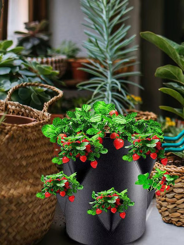 Verdickter Erdbeer-Pflanzbeutel aus Vliesstoff in Schwarz mit 6-seitiger Tasche für den Garten, B/T/H: 35,0 x 30,0 x 30,0 cm - Bild 2