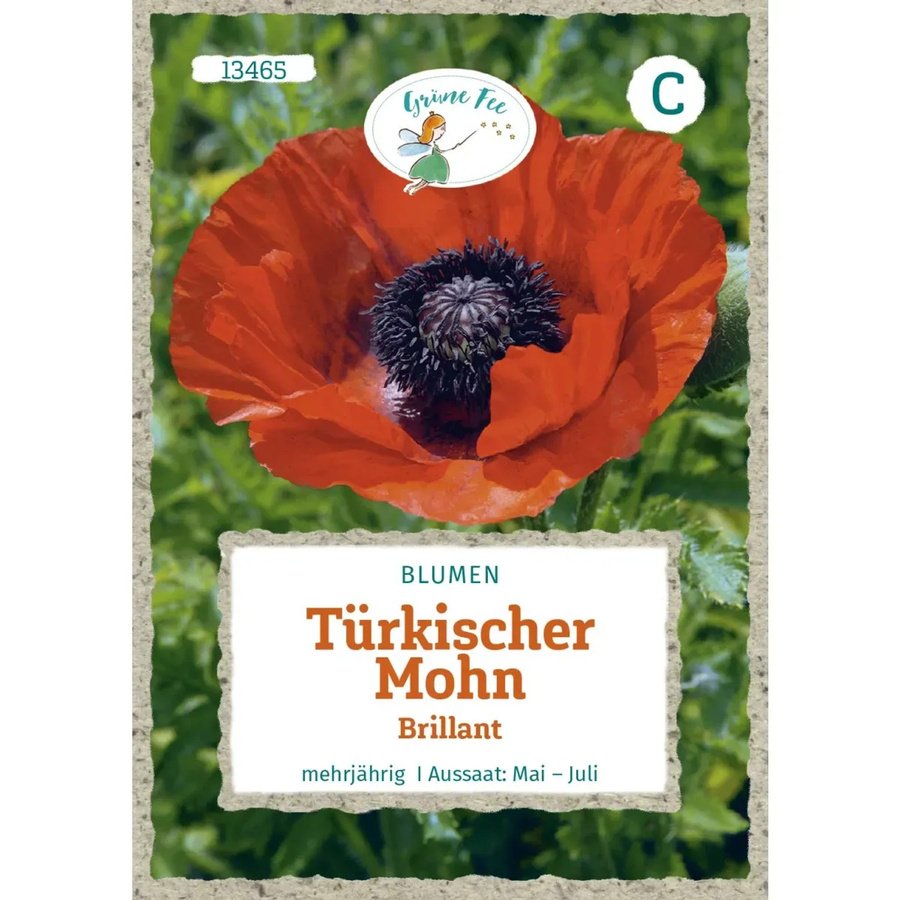 Grüne Fee Türkischer Mohn Brillant Saatgut für Beete, Rabatten und Schnittblumen - Bild 2