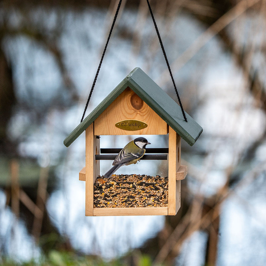 CJ Wildlife Futterhaus Breda für kleine Vögel zum Aufhängen in Grün - Bild 2