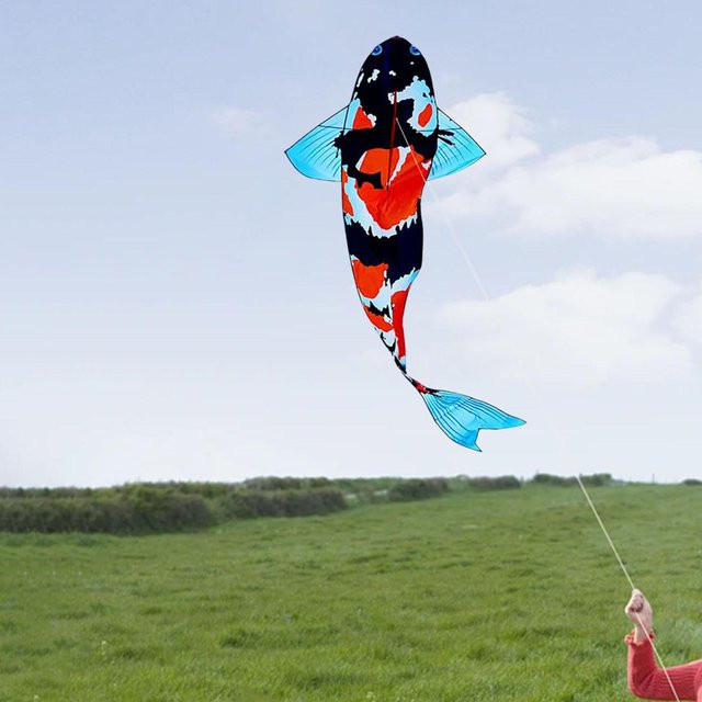 Garden and Beyond Koi Drachen Windsack 3D, Bunt / Mehrfarbig - Bild 1