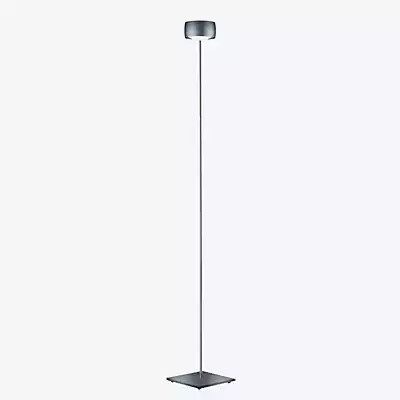 Oligo Grace LED-Stehleuchte Basalt mit Tunable White und Dimmer - Bild 1