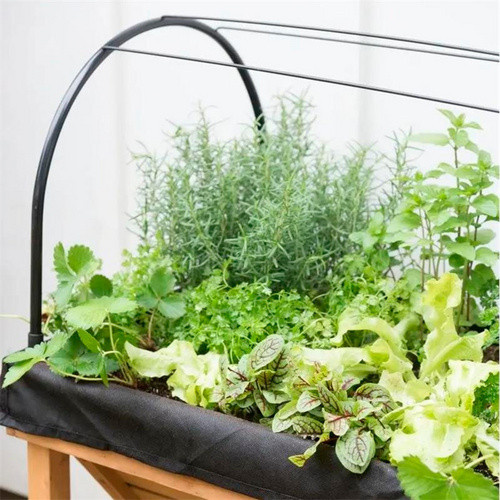 VegTrug Hochbeet Wall Hugger aus Holz in Natur mit Rahmen und PVC Abdeckung, L x B x H: 77 x 46 x 63 cm - Bild 2