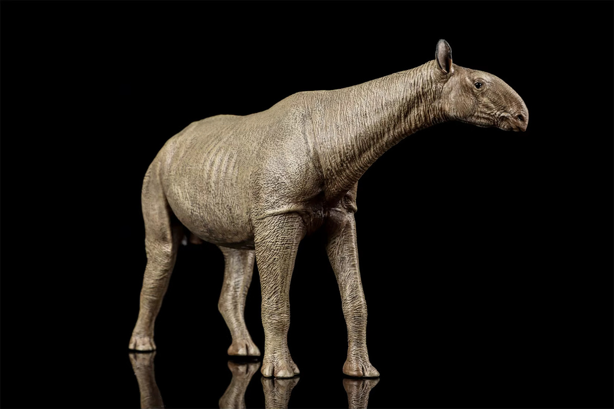 Eofauna Paraceratherium Grangeri Figur, 1:35 Maßstab, Einzelfigur - Bild 2