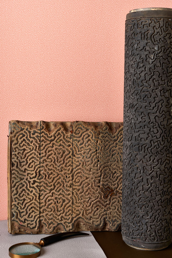 Cole & Son Tapete Coral Salmon in Pink mit abstraktem modernem Design aus Vlies - Bild 1