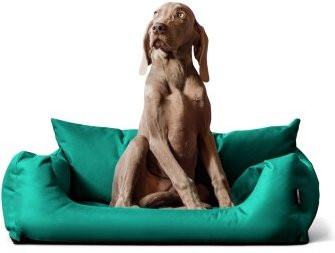 Tierlando NEMO Hundebett Hundesofa in Türkis mit abnehmbarem Bezug und erhöhten Rändern, B/T/H: 65 x 20 x 50 cm - Bild 1