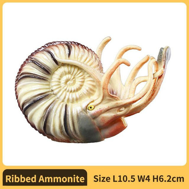 Yiran toy 1 Nautilus Ammonit Figur, Plastikmodell, beige, ab 1,5 Jahre - Bild 1