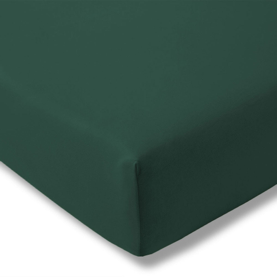 Estella Feinjersey Spannbetttuch 6500 aus Baumwolle, Grün, 100 x 200 cm - Bild 1