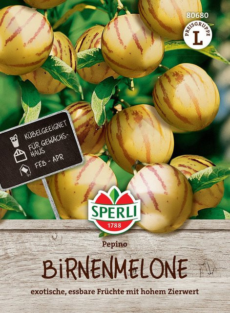 SPERLI Birnenmelonen-Samen Pepino für deinen Garten - Bild 1