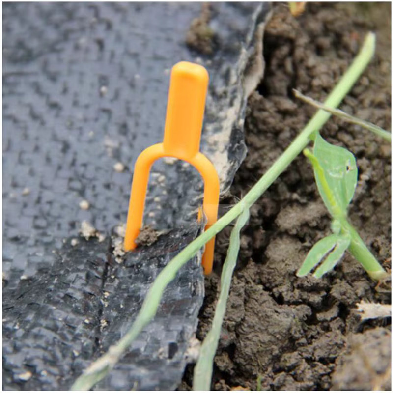 50 Stück Kunststoff Pflanzenkletter-Clips in Orange zur Unterstützung von Blumen, Erdbeeren und Tomaten im Garten - Bild 2