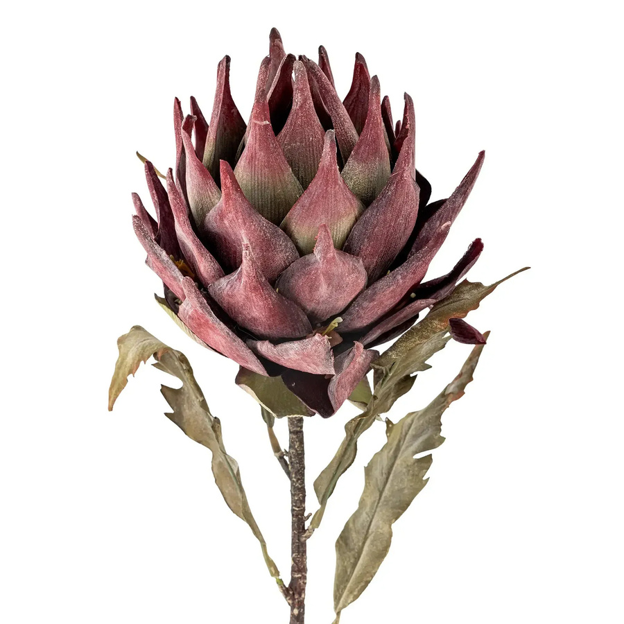 Bloomingville Protea Kunstblume lila Höhe: 76 cm, Breite: 20 cm, Tiefe: 20 cm - Bild 1