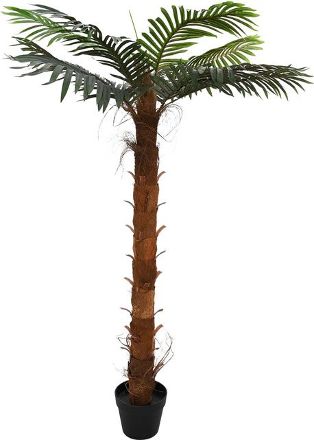 Künstliche Kokospalme Yiwydaa in Grün, B/T/H: 70 x 18 x 140 cm - Bild 1