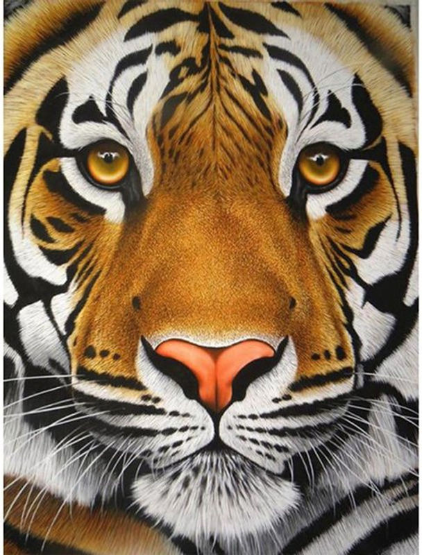 FIYO Diamond Painting Tiger Mosaikbild mit Tierprint, mehrfarbig, B/H: 30 x 20 cm - Bild 1