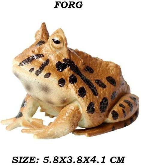 Frosch Kollektion Rana Ochsenfrosch Laubfrosch Gehörnter Frosch Kröte Quetschfrosch Regenwald Tiere Figuren, Actionfigur, ab 14 Jahre - Bild 1