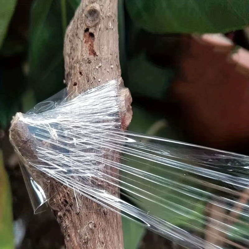 Selbstklebendes PE-Pfropfband in Transparent für Gartenbau und Pflanzenpflege von Sämlingen, Reben und Tomaten - Bild 6