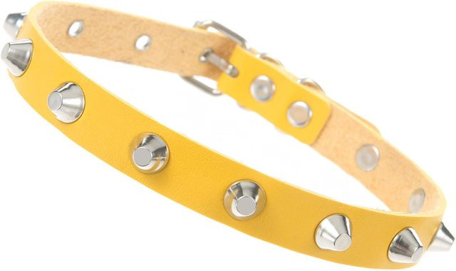 YTO bag Choker Halskette, Leder, Schwarz, Damen - Bild 1
