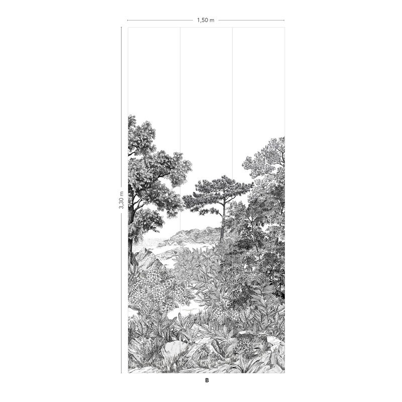 Isidore Leroy Fototapete Foret Bretagne Grisaille in Grau mit Naturmotiv und Landschaftsmotiv, Breite: 330 cm, Höhe: 50 cm - Bild 2