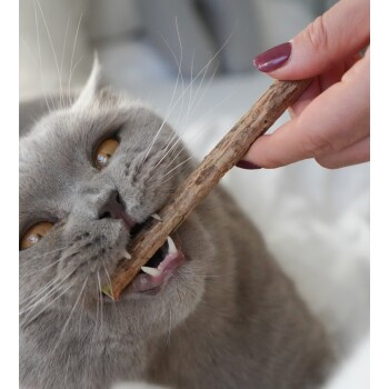 LEO LÖWENKATZ Matatabi Sticks, 5er Set - Bild 2