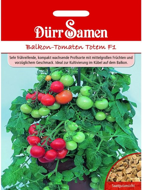 Dürr Balkontomaten Totem F1 Saatgut Gemüsesaatgut - Bild 1