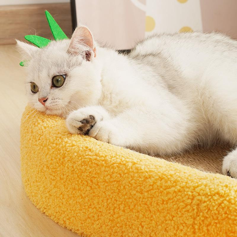 mfySpace Kratzschale für Katzen in Ananasform aus Sisal, Gelb, Oval - Bild 2