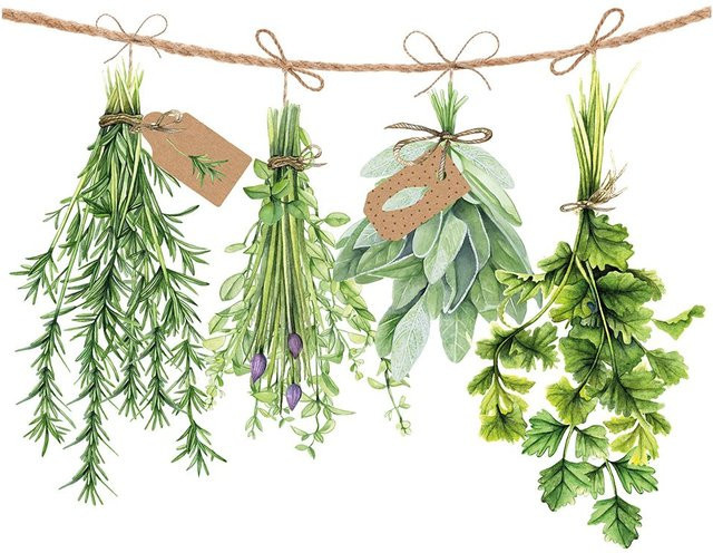 Serviette Frische Kräuter in Weiß und Grün, 20 Stück aus Papier - Bild 1