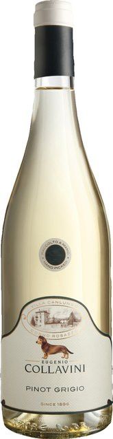 Collavini Pinot Grigio Weißwein, Friaul, 2025, trocken, 0,75 l - Bild 1