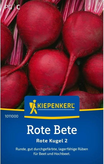 Kiepenkerl Rote Rüben Sorte Rote Kugel - Bild 1
