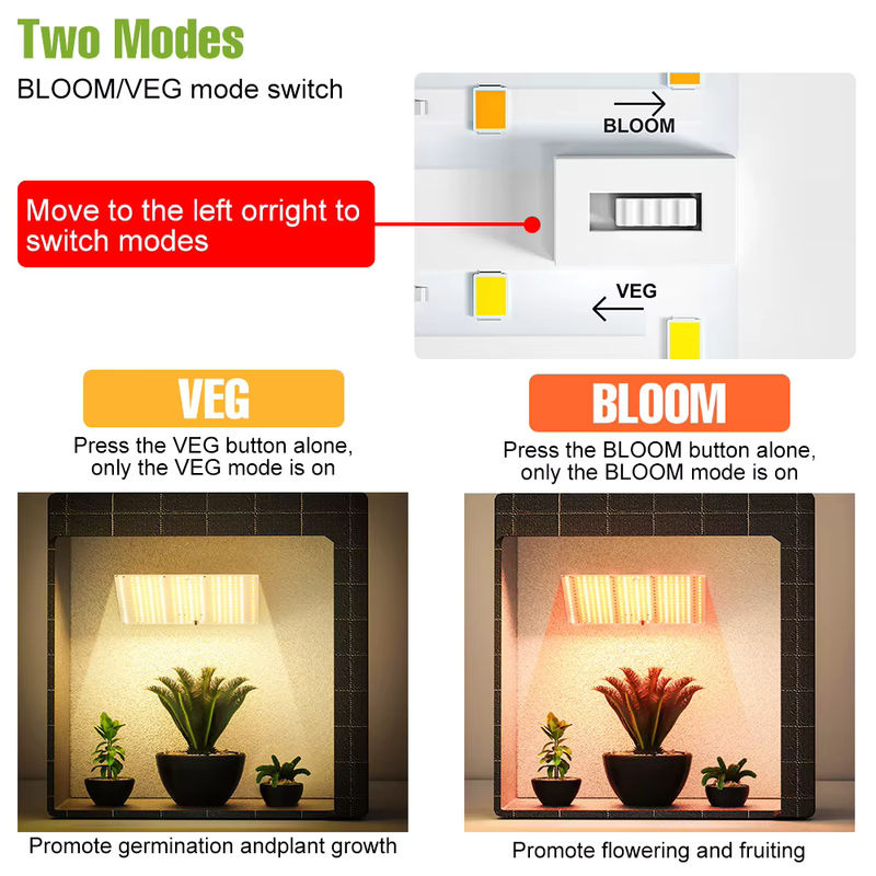 NJHIKG LED Quantum Board Pflanzenlampe mit Vollspektrum für Gemüseanbau und Hydroponik, Schwarz - Bild 3