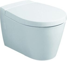 Geberit WC-Sitz Visit in Weiß mit Deckel und Edelstahl-Scharnieren in D-Form - Bild 1