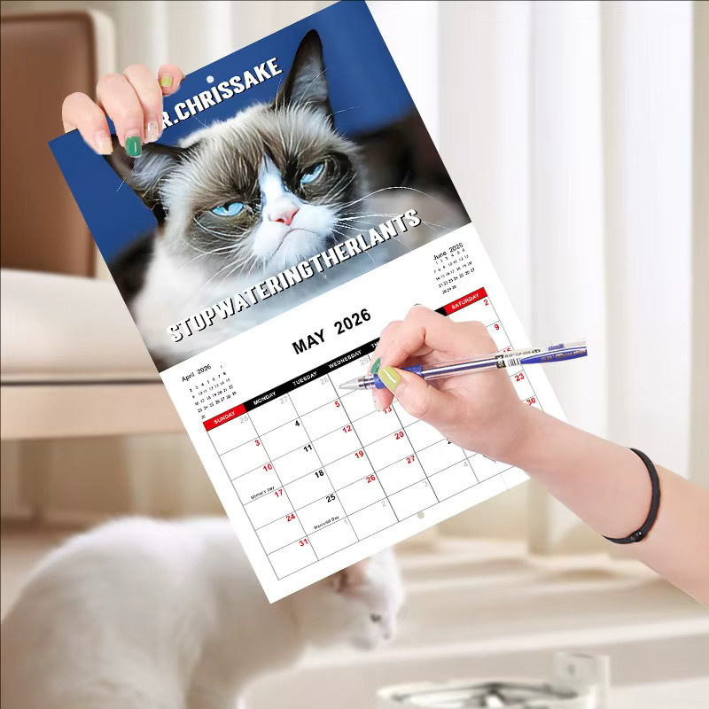 Wütender Katzenkalender 2026 für den täglichen Gebrauch mit Monatsübersicht, weiß und mehrfarbig - Bild 3