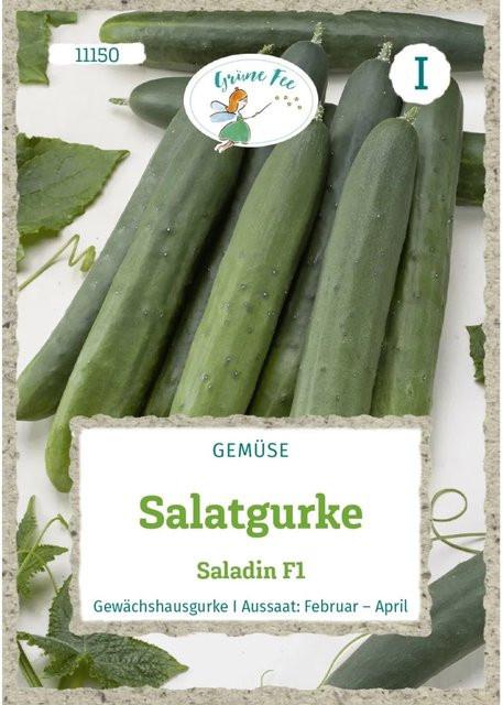 Grüne Fee Salatgurke Saladin F1 Saatgut für das Gewächshaus - Bild 1