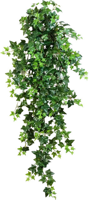 Künstlicher Efeu Anastasia von Aplanta, Grün, Höhe: 110 cm - Bild 1