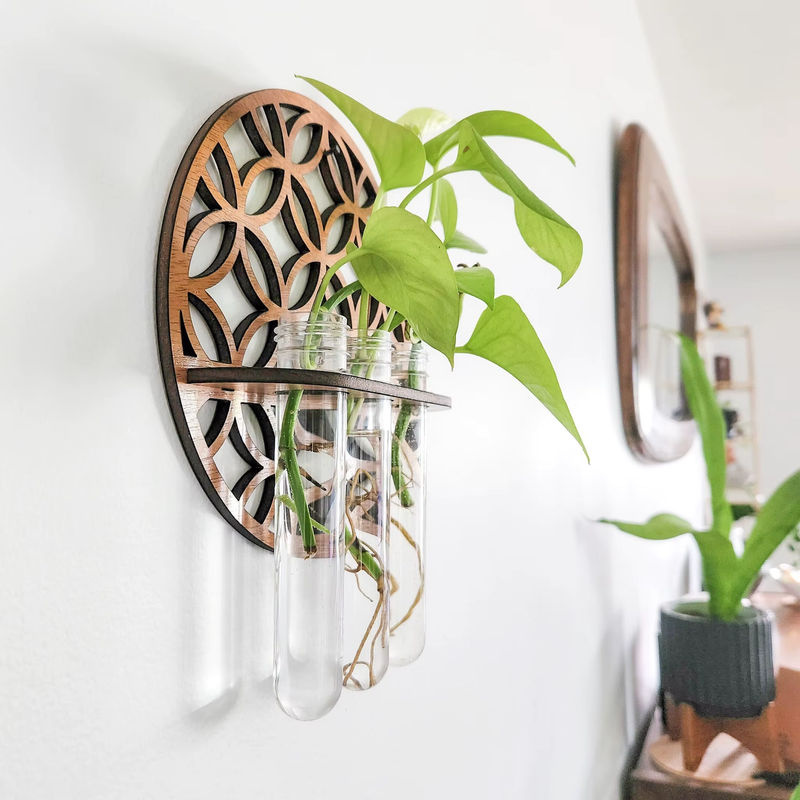 Runder Wandpflanzenhalter aus Holz in Braun mit 3 transparenten Glas-Reagenzgläsern für Schnittblumen und Pflanzenvermehrung im skandinavischen Design - Bild 2