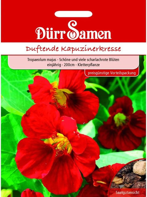 Dürr Samen Kapuzinerkresse Rot Rankend Einjährig Saatgut - Bild 1
