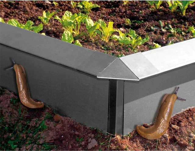 Bellissa Schneckenzaun aus Stahlblech für den Garten, B/H/T: 100 x 20 x 7 cm - Bild 1