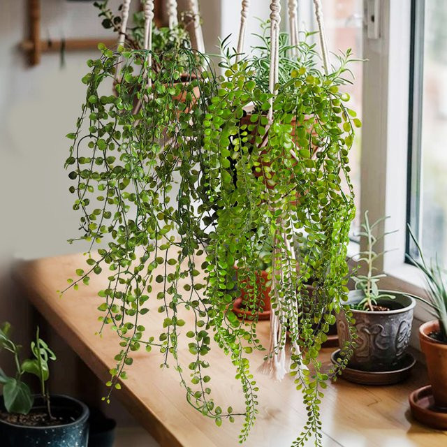 Xiya Künstliche Eukalyptus-Girlande als hängende Pflanze in Grün aus Kunststoff für Garten und Home Deco - Bild 1