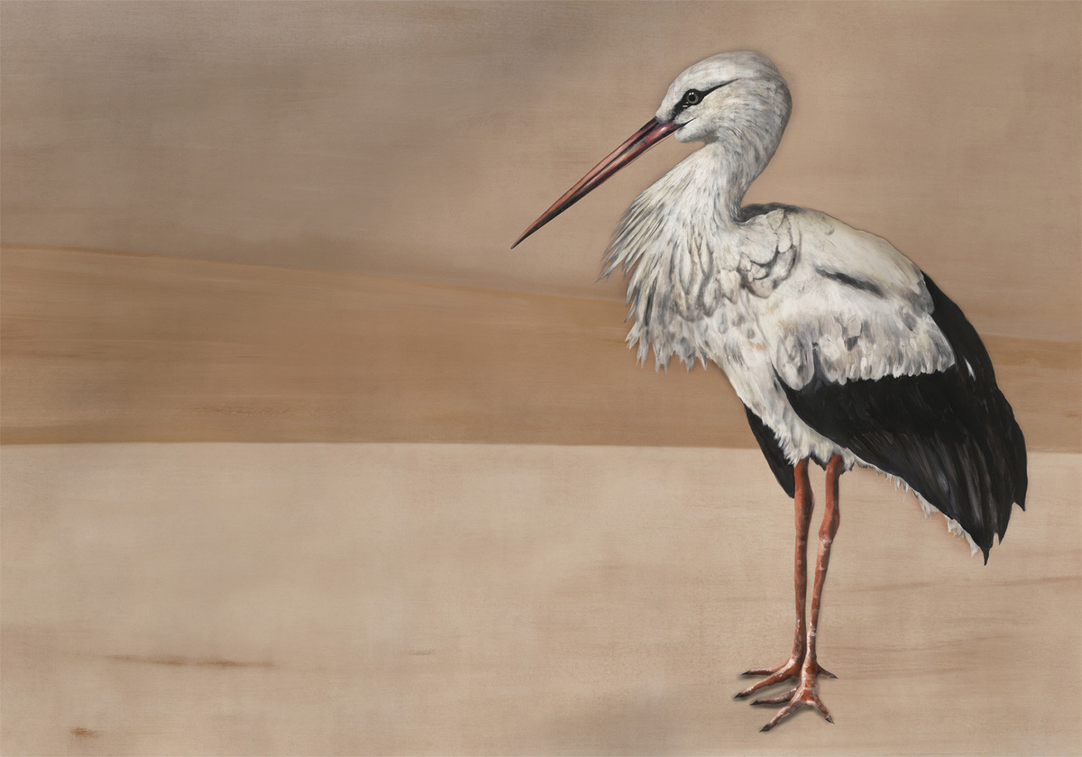Coordonné Wandtattoo Stork Mother in Beige - Bild 2