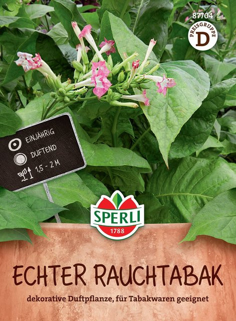 Sperli Echter Rauchtabak-Samen - Bild 1
