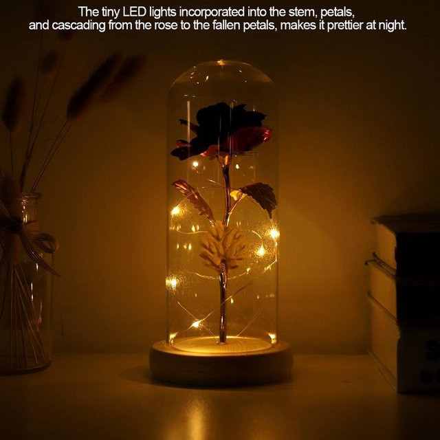 OutsideWorld Konservierte Rose mit LED-Licht in Glaskuppel und Holzsockel, Farbe: Braun - Bild 1