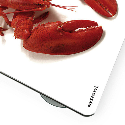 mySPOTTI Mini-Spritzschutz Hummer aus Aluverbund in Rot und Weiß, B/T/H: 41,0 x 59,0 x 0 cm - Bild 2