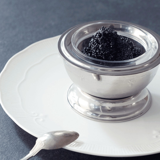 Mepra Chillcup Schale für Butter und Kaviar in Silber - Bild 1