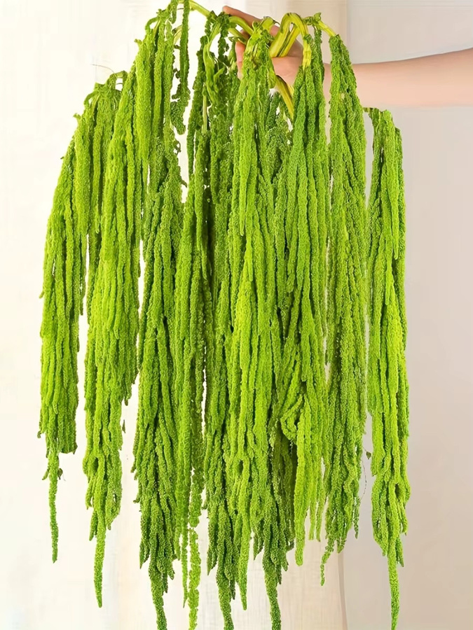 5 Stück YN HI FLOWER getrocknete Amaranthus Hängeblumen in Rot und Grün für Hochzeitsdekoration und Party-Arrangements - Bild 1